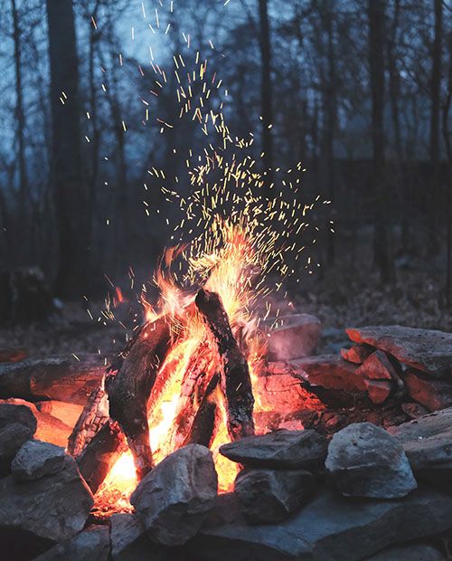 Dandeli campfire