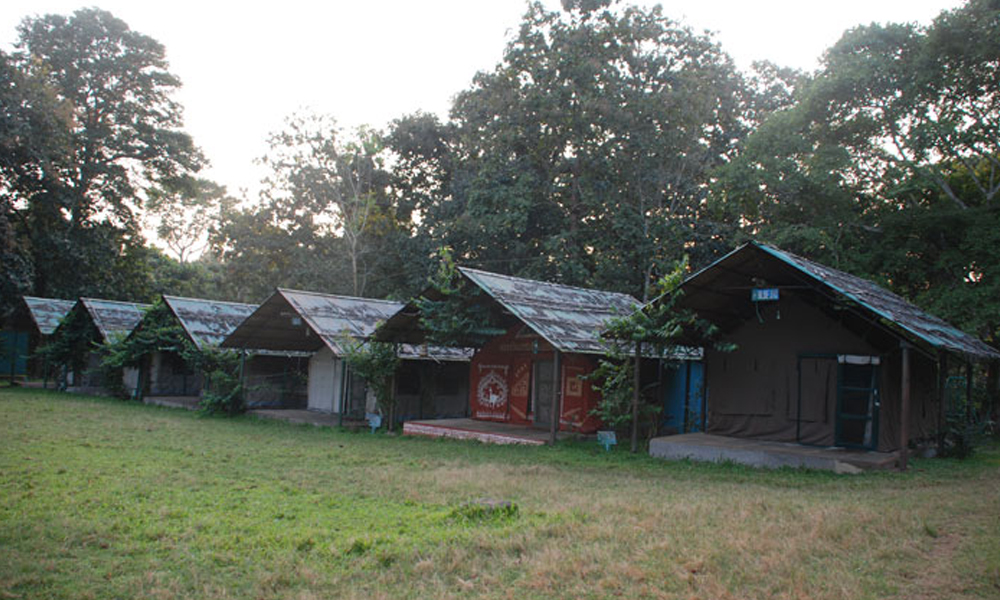 Kulgi Nature Camp